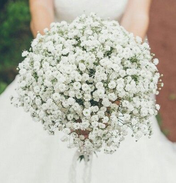 Bouquet de gypsophile